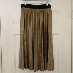 Time and Tru Pleated Metallic Skirt